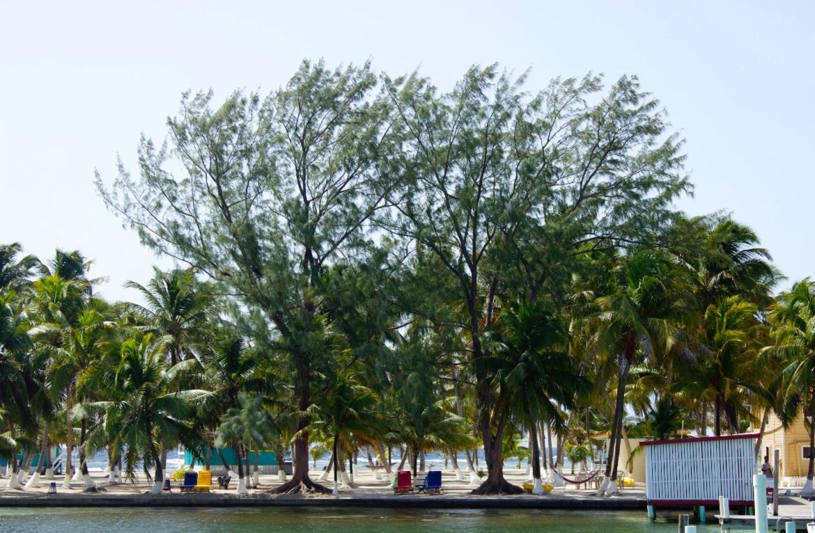 Blue Marlin Beach Resort Dangriga Kültér fotó