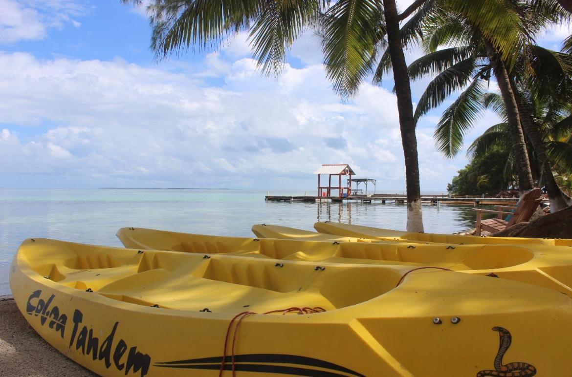 Blue Marlin Beach Resort Dangriga Kültér fotó