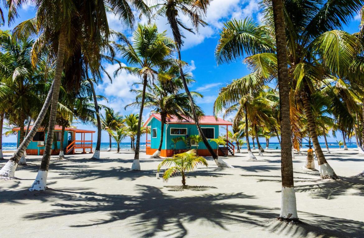 Blue Marlin Beach Resort Dangriga Kültér fotó