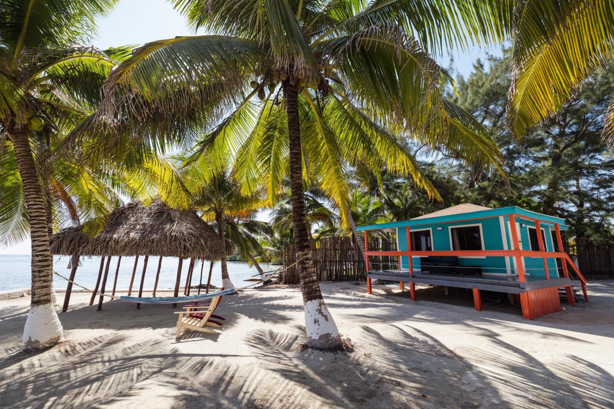 Blue Marlin Beach Resort Dangriga Kültér fotó