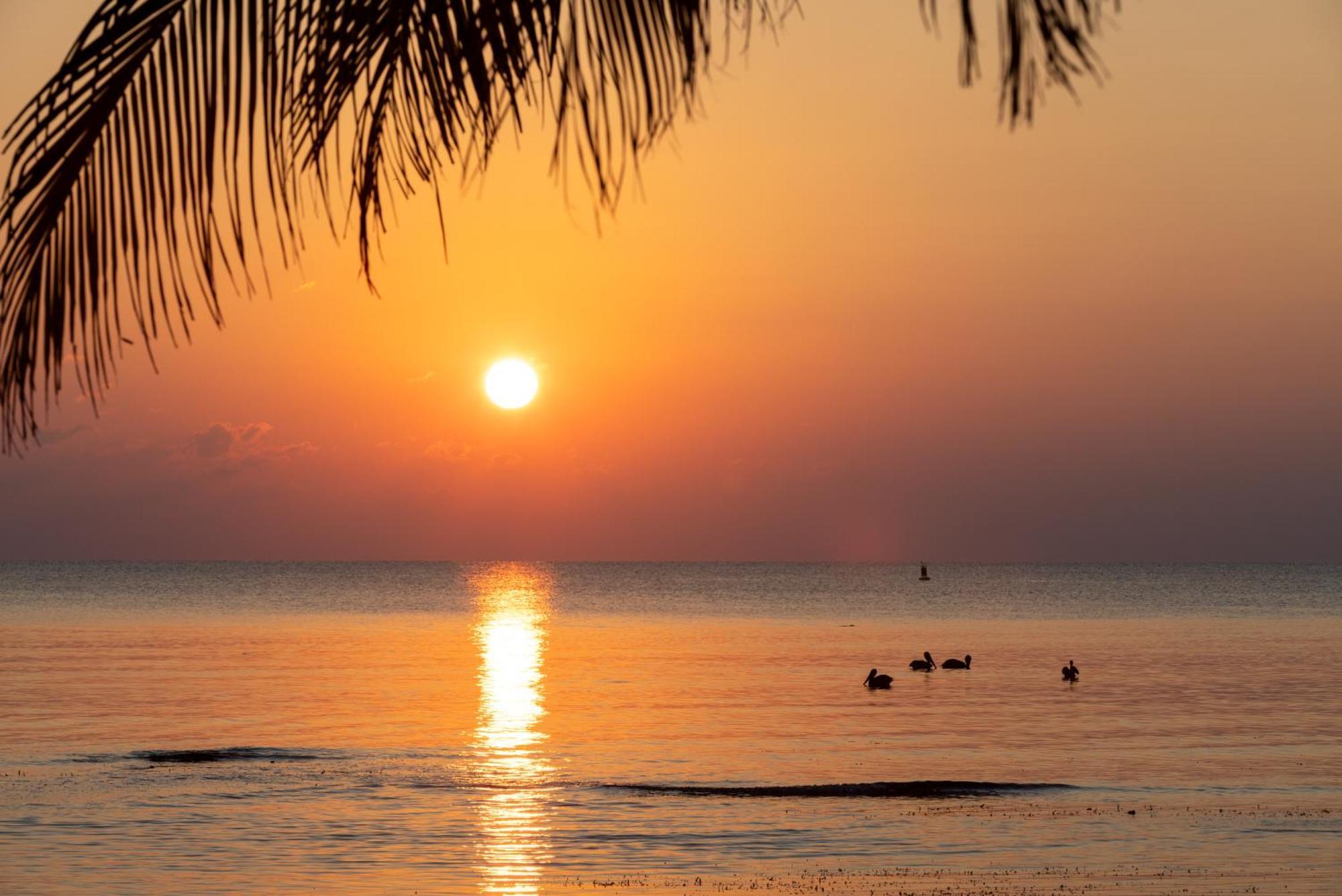 Blue Marlin Beach Resort Dangriga Kültér fotó
