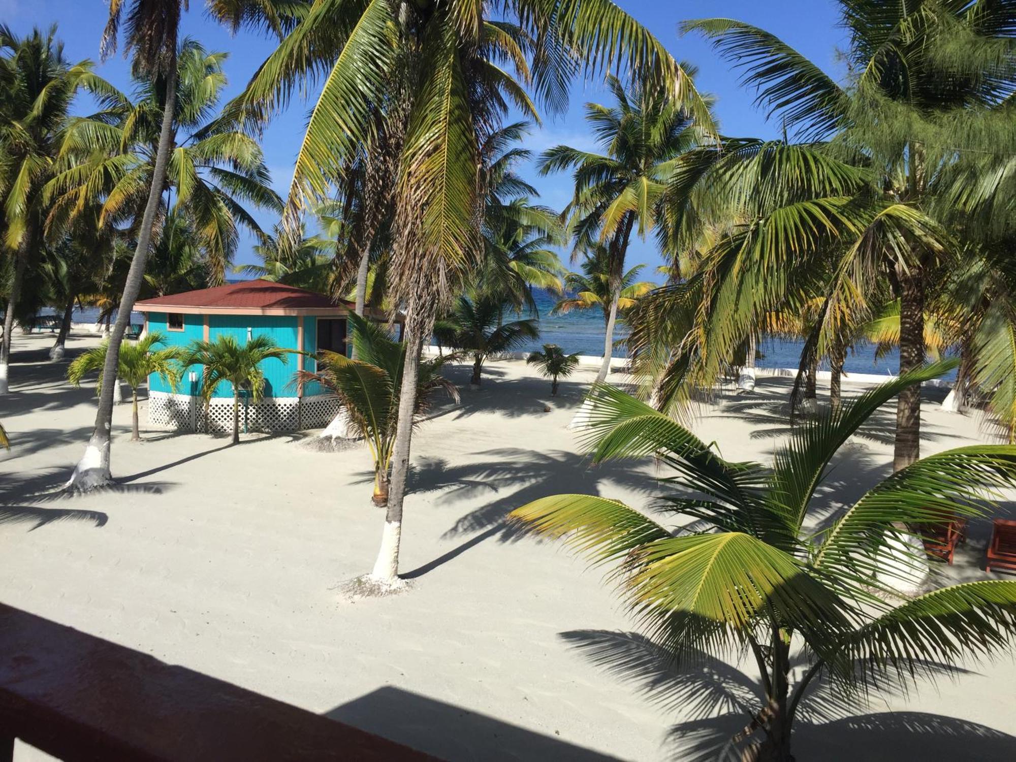 Blue Marlin Beach Resort Dangriga Kültér fotó