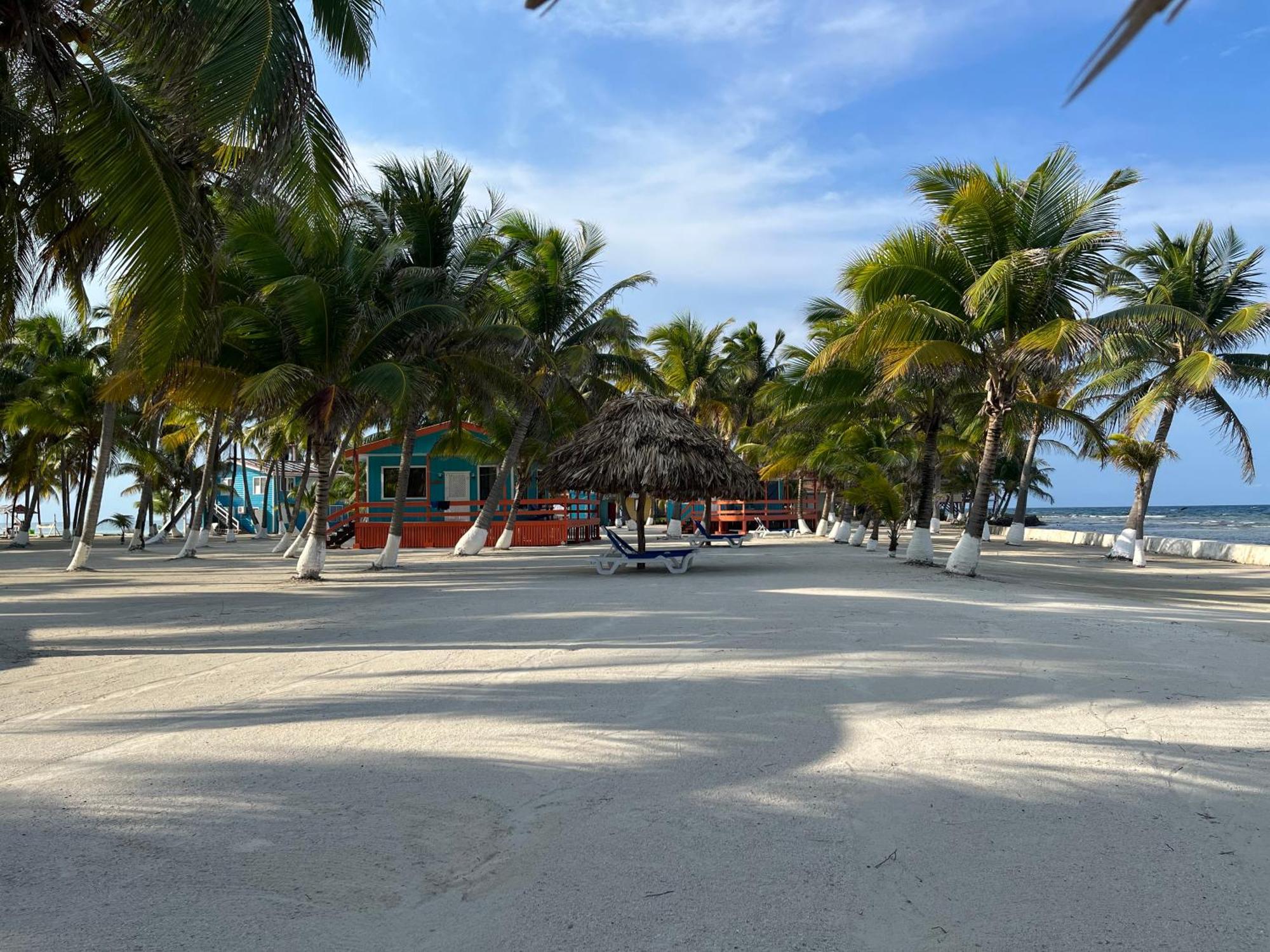 Blue Marlin Beach Resort Dangriga Kültér fotó