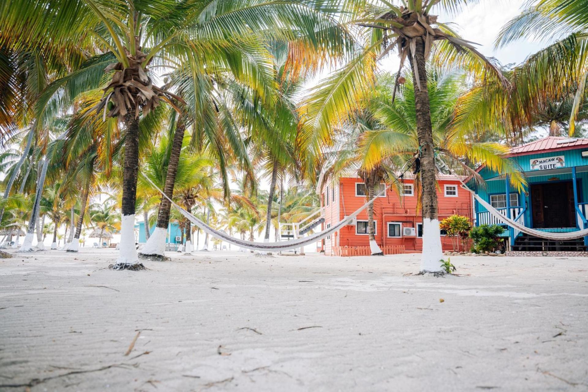 Blue Marlin Beach Resort Dangriga Kültér fotó