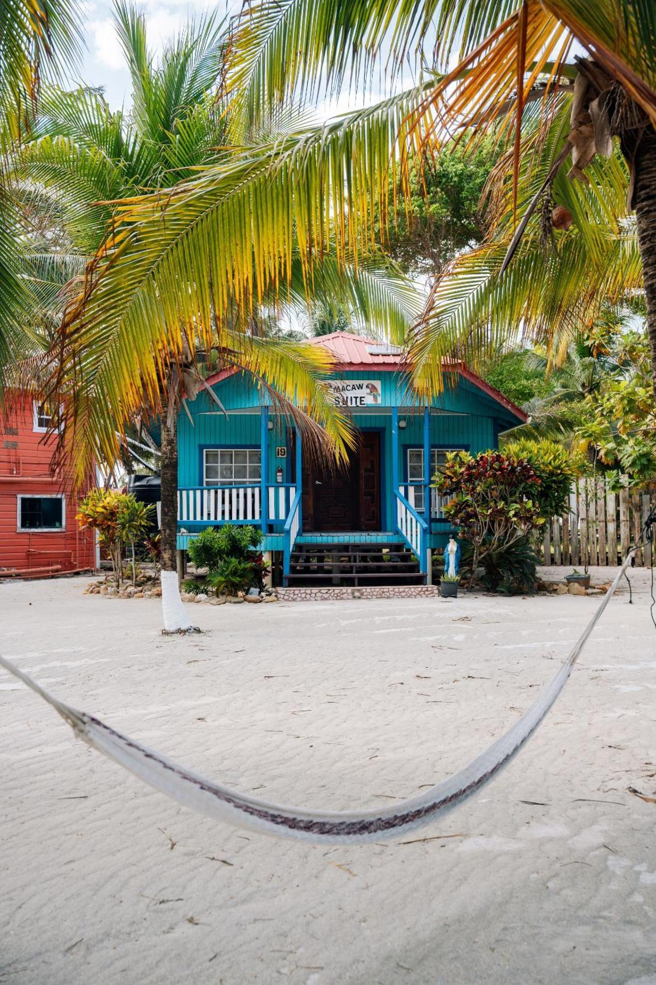 Blue Marlin Beach Resort Dangriga Kültér fotó