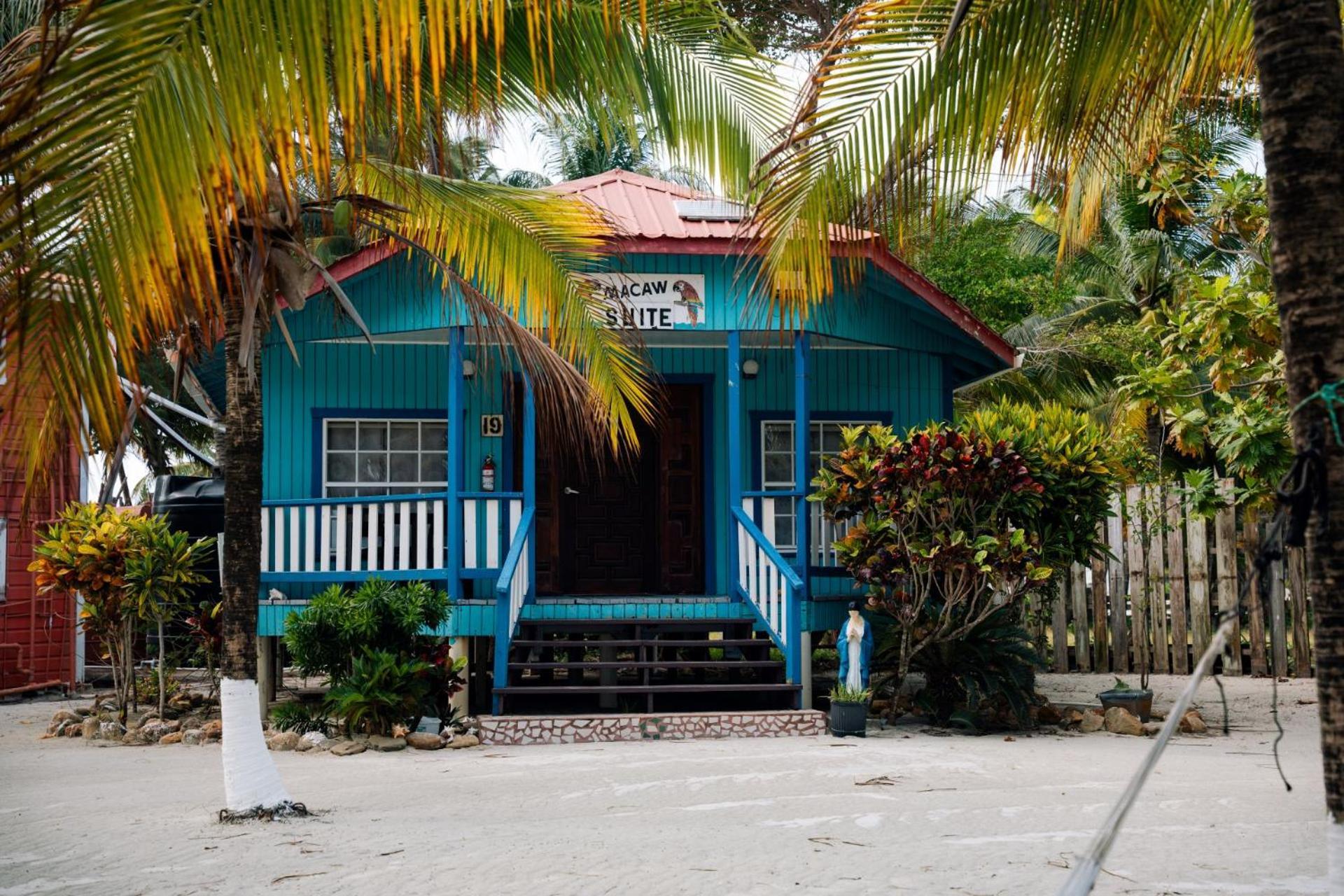 Blue Marlin Beach Resort Dangriga Kültér fotó