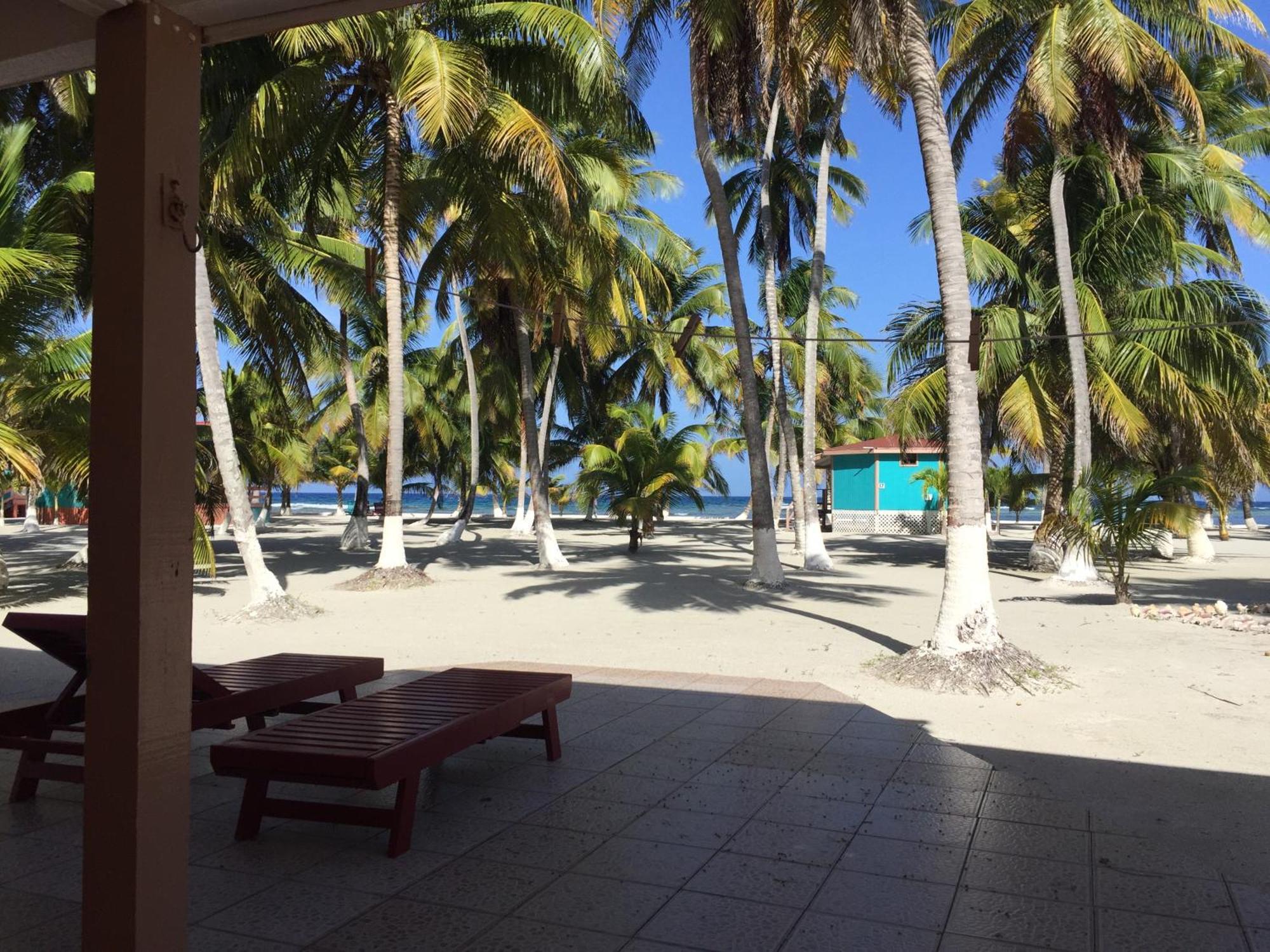 Blue Marlin Beach Resort Dangriga Kültér fotó