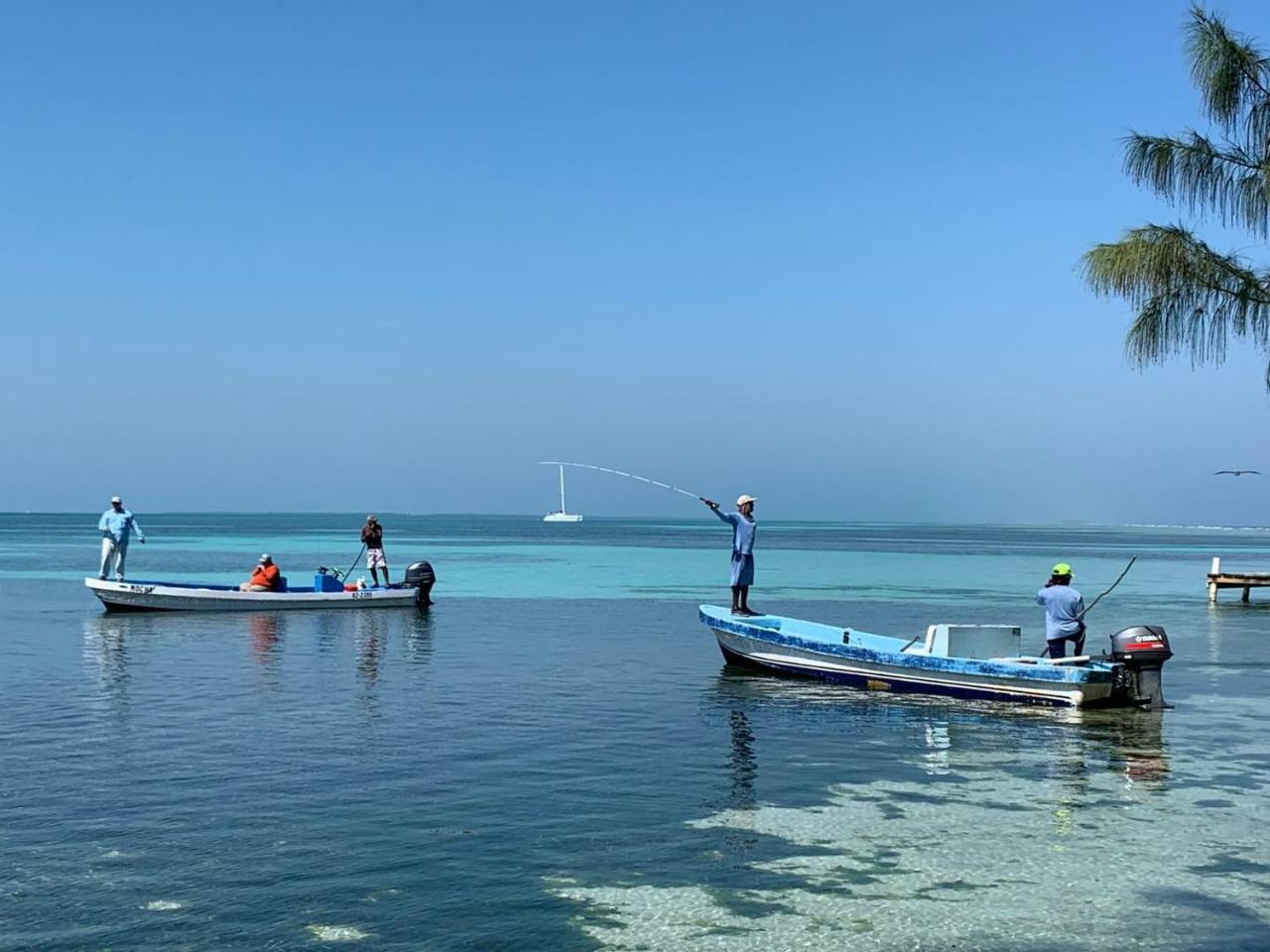 Blue Marlin Beach Resort Dangriga Kültér fotó